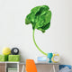 Fresh green leaf spinach, vector illustration Wall Decal