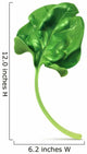 Fresh green leaf spinach, vector illustration Wall Decal