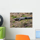 alligator in the sun Wall Mural