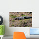 alligator in the sun Wall Mural