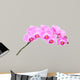 Pink orchid Wall Decal