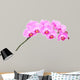 Pink orchid Wall Decal
