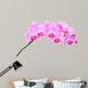 Pink orchid Wall Decal
