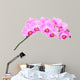 Pink orchid Wall Decal