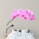 Pink orchid Wall Decal