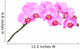 Pink orchid Wall Decal