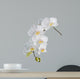 White orchid Wall Decal