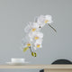White orchid Wall Decal