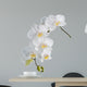 White orchid Wall Decal