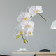White orchid Wall Decal