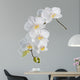White orchid Wall Decal