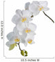 White orchid Wall Decal