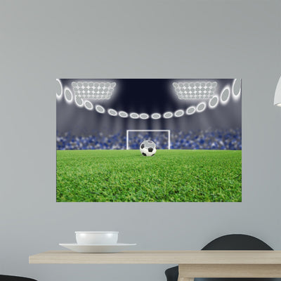 Soccer Ball Field Stadium shown on a wall