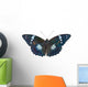 Butterfly (Apatura schrencki) 32 Wall Mural