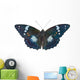 Butterfly (Apatura schrencki) 32 Wall Mural
