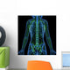 3D Anatomy Female Lymphatic Wall Decal