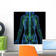 3D Anatomy Female Lymphatic Wall Decal