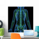 3D Anatomy Female Lymphatic Wall Decal