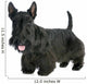 Scottish Terrier 