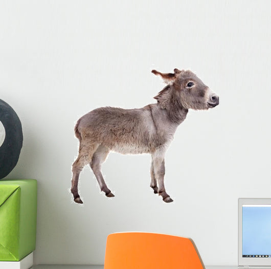 Pretty Donkey Wall Decal