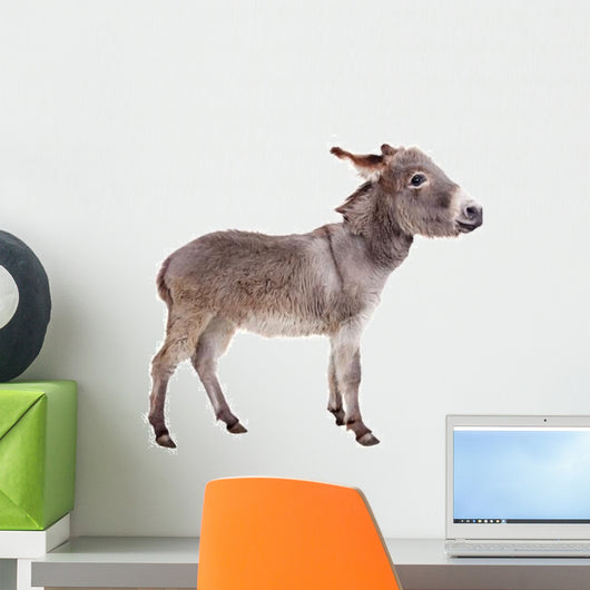 Pretty Donkey Wall Decal