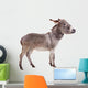 Pretty Donkey Wall Decal