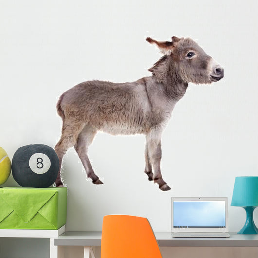 Pretty Donkey Wall Decal