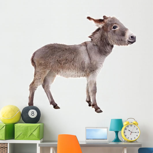 Pretty Donkey Wall Decal