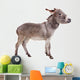 Pretty Donkey Wall Decal