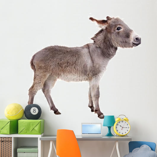 Pretty Donkey Wall Decal