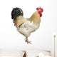 An Adult Rooster Wall Decal
