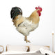 An Adult Rooster Wall Decal