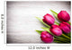 Tulip. 
