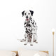 Beauty Dalmatian Dog, Isolated on White Background Wall Decal