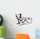 Beauty Dalmatian Dog, Isolated on White Background 