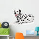 Beauty Dalmatian Dog, Isolated on White Background 