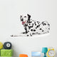 Beauty Dalmatian Dog, Isolated on White Background 