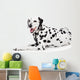 Beauty Dalmatian Dog, Isolated on White Background 