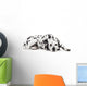 Beauty dalmatian dog, isolated on white background Wall Decal