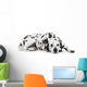 Beauty dalmatian dog, isolated on white background Wall Decal