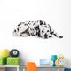 Beauty dalmatian dog, isolated on white background Wall Decal