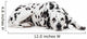 Beauty dalmatian dog, isolated on white background Wall Decal
