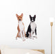 Two Basenjis Isolated on the White Background Wall Decal