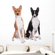 Two Basenjis Isolated on the White Background Wall Decal