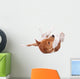 Pranksome Red Basenji Isolated on White Background Wall Decal