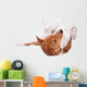 Pranksome Red Basenji Isolated on White Background Wall Decal