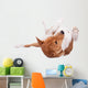 Pranksome Red Basenji Isolated on White Background Wall Decal