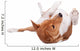 Pranksome Red Basenji Isolated on White Background Wall Decal