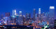 Los Angeles at night Wall Mural