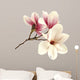 magnolia 